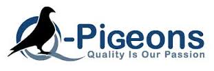 Q-Pigeons (5K)