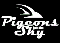 pitts-logoWhite (5K)
